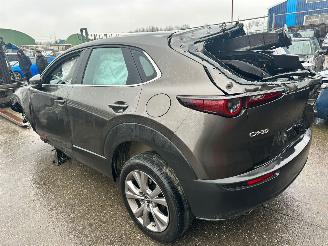 Mazda CX-30 2.0 HYBRIDE picture 9