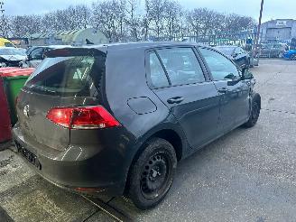 Volkswagen Golf 1.6 TDI picture 4