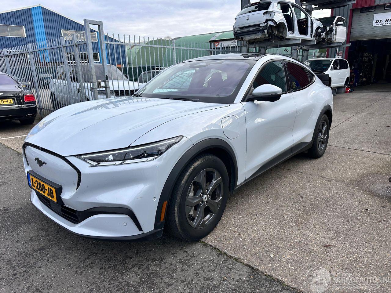 Ford Mustang Mach-e EXTENDED RWD 98 KWH / PANO