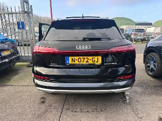 Audi E-tron 55 QUATTRO 95KWH PRO LINE PLUS picture 5