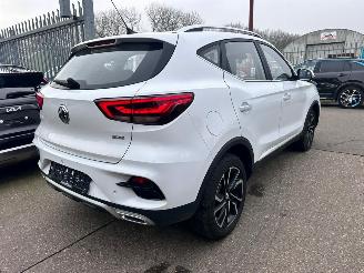 MG  1.5 MG ZS & ZS Hybrid+ ZS32 picture 4