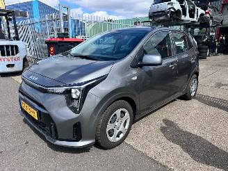 Kia Picanto 1.0 DPI DYNAMICLINE picture 1