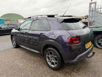 Citroën C4 cactus 1.2 SHINE picture 7