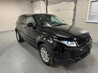 skadebil auto Land Rover Range Rover Evoque  2019/2