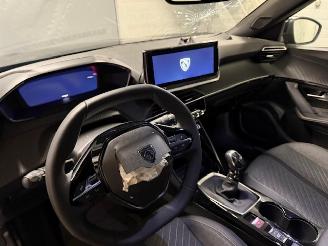 Peugeot 2008  picture 10