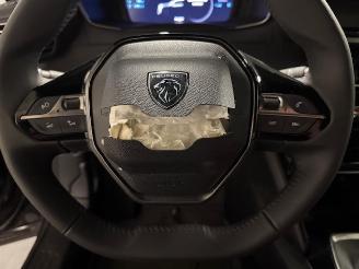 Peugeot 2008  picture 19