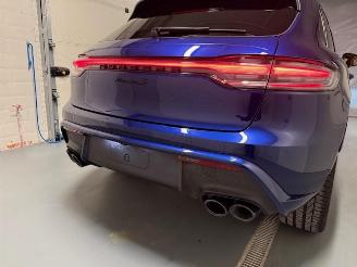 Porsche Macan PANORAMA picture 8
