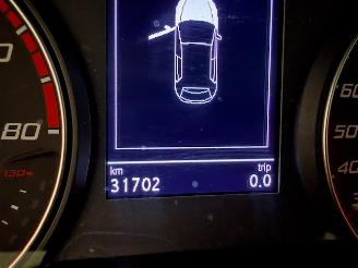 Seat Ibiza  picture 13