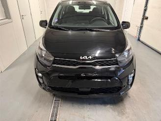 Kia Picanto  picture 3