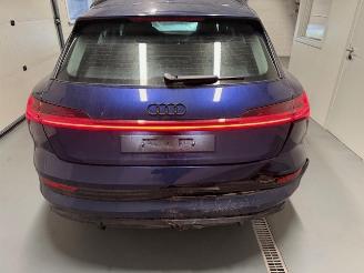 Audi E-tron  picture 5