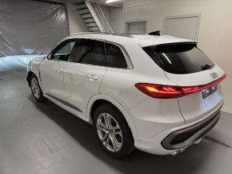 Audi Q5 LUFTFEDERUNG SOUND BANG&OLUFSEN picture 6