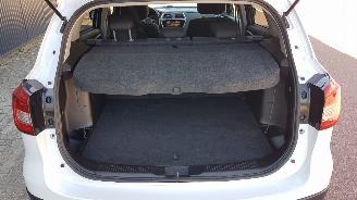 Suzuki S-Cross  picture 11