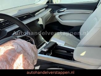 Audi E-tron 55 Quattro Advanced 300KW picture 12