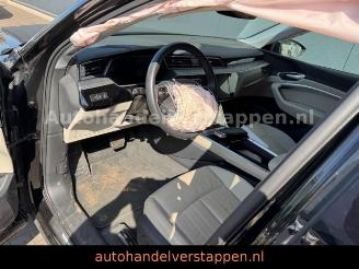 Audi E-tron 55 Quattro Advanced 300KW picture 15