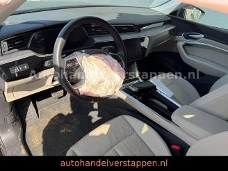 Audi E-tron 55 Quattro Advanced 300KW picture 14