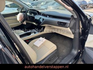 Audi E-tron 55 Quattro Advanced 300KW picture 18