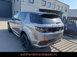 Land Rover Discovery Sport R-Dynamic S Leder Navi Panorama picture 2