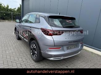 damaged passenger cars Opel Grandland X PHEV 165KW Hybrit 2023/11