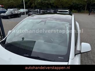 Tesla Model Y Long Range Dual AWD Pano Leder picture 12