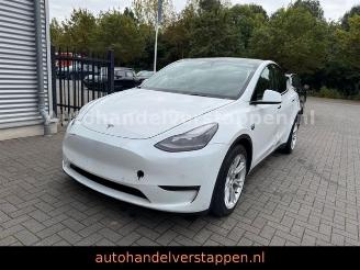 Vaurioauto  passenger cars Tesla Model Y Long Range Dual AWD Pano Leder 2022/8