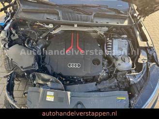 Audi SQ5 Sportback 3.0 TDI Quattro S-Line picture 31