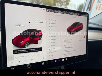 Tesla Model Y Long Range Dual AWD Panorama picture 10