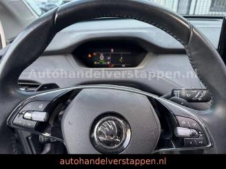 Skoda Enyaq 80 DAB+ Suite Convenience-Paket picture 15