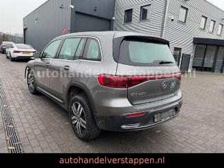 uszkodzony samochody osobowe Mercedes EQB 250+ 140KW Business Solution 2024/6