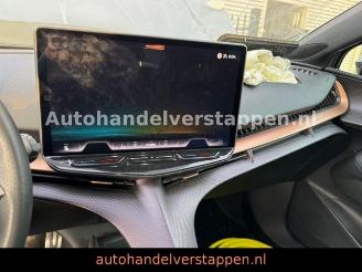 Cupra Tavascan 210 kW Endurance 82KWH VOLL picture 31