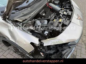 Cupra Tavascan 210 kW Endurance 82KWH VOLL picture 19