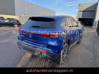 Mercedes EQA 250+ AMG SPORT /LINE PANORAMA picture 8