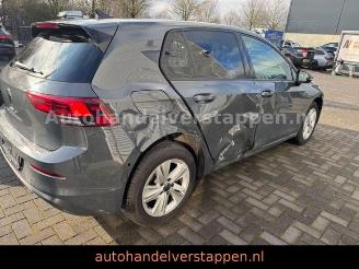 Volkswagen Golf VIII 2.0 SCR TDi Life Business Premium DSG picture 7