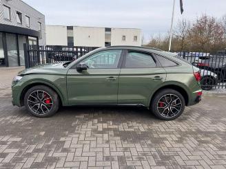 Audi Q5 Sportback 35 TDI S line Plus Matrix ACC picture 6