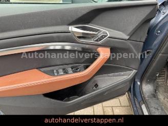 Audi Q8 e-tron 55 Quattro S line Panorama picture 19