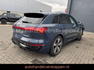Audi Q8 e-tron 55 Quattro S line Pano 115KWH 300KW picture 1