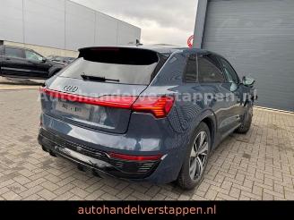 Audi Q8 e-tron 55 Quattro S line Panorama picture 2
