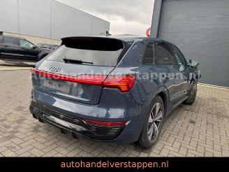 Audi Q8 e-tron 55 Quattro S line Panorama picture 2