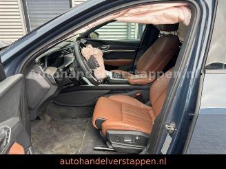 Audi Q8 e-tron 55 Quattro S line Panorama picture 18