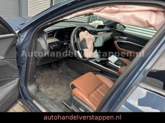 Audi Q8 e-tron 55 Quattro S line Panorama picture 15