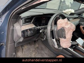 Audi Q8 e-tron 55 Quattro S line Panorama picture 16