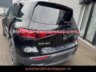 Mercedes EQB 250 Advanced 140KW Navi+ Leder 7Personen picture 4