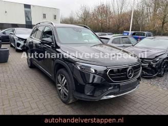 Mercedes EQB 250 Advanced 140KW Navi+ Leder 7Personen picture 1