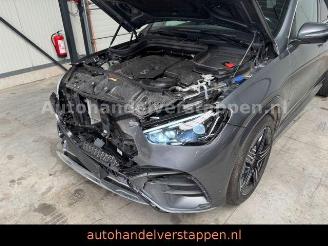 Mercedes GLE 350de 4Matic AMG Sport Pano Burm AHK FULL picture 12