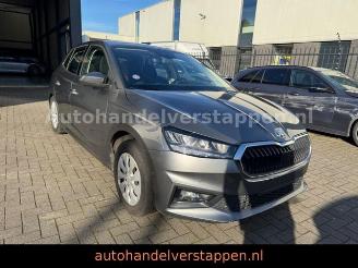 Avarii autoturisme Skoda Fabia Ambition TSI 110KW Graphite Grey 2024/3