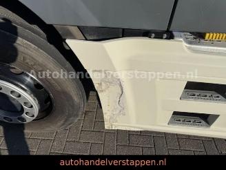 DAF XF 460 FR Super Cab Euro6 picture 28