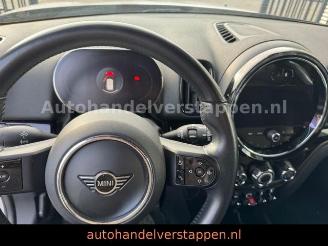 Mini Countryman COOPER DAB+ picture 14