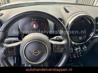 Mini Countryman COOPER DAB+ picture 15