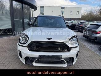 Mini Countryman COOPER DAB+ picture 2
