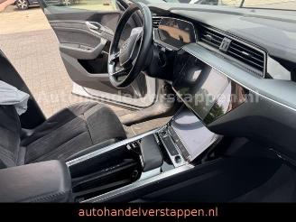 Audi E-tron 55 Quattro Advanced 93KWH picture 26