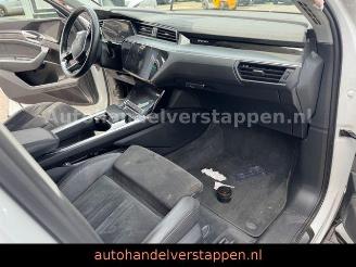 Audi E-tron 55 Quattro Advanced 93KWH picture 20